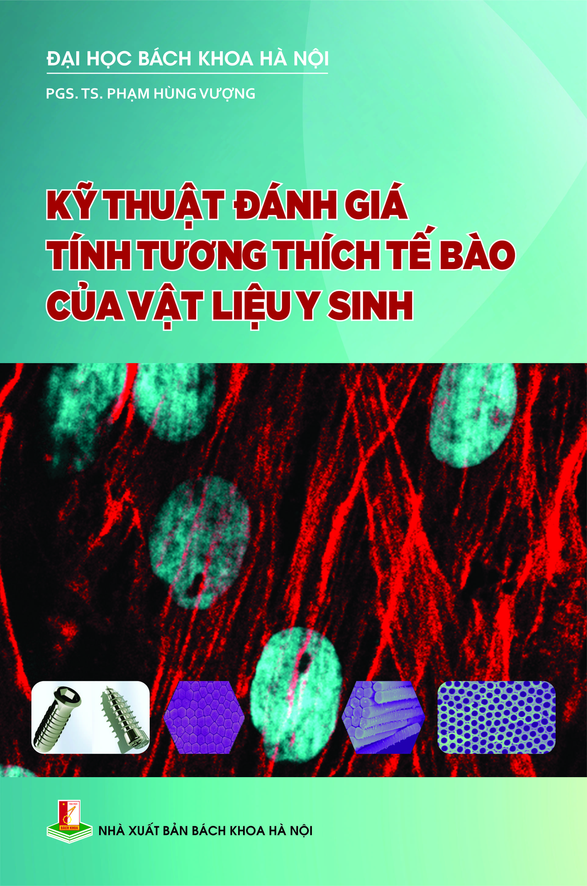 Kỹ thuật đánh giá tính tương thích tế bào của vật liệu y sinh